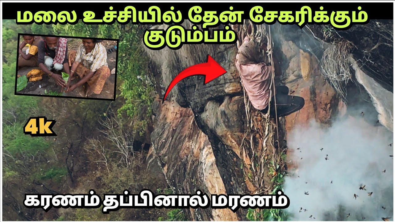 மலை உச்சியில் தேன் சேகரிப்பதில் இவ்வளவு கஷ்டமா 💯 PART- 2 |Life of Honey Harvesters✅ Must watch