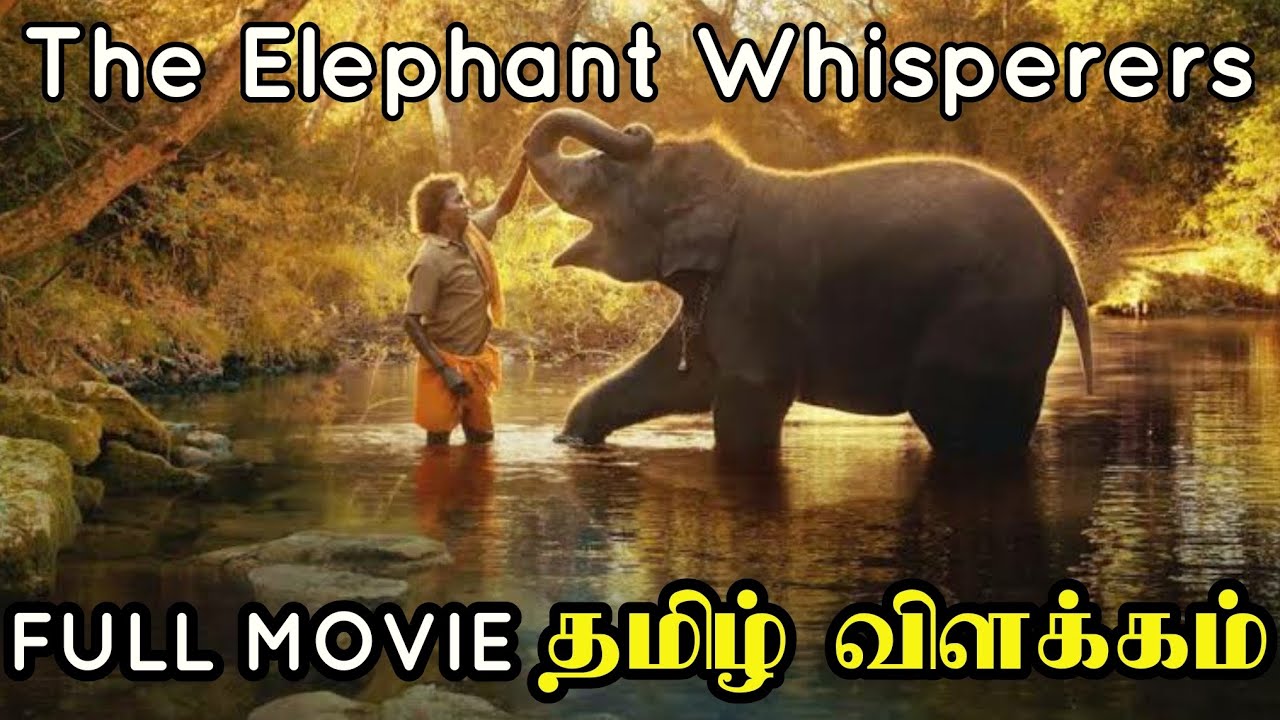 The Elephant Whisperers 2022 | HD Full Movie Explained in Tamil | Oscar Award Winning Tamil Movie
