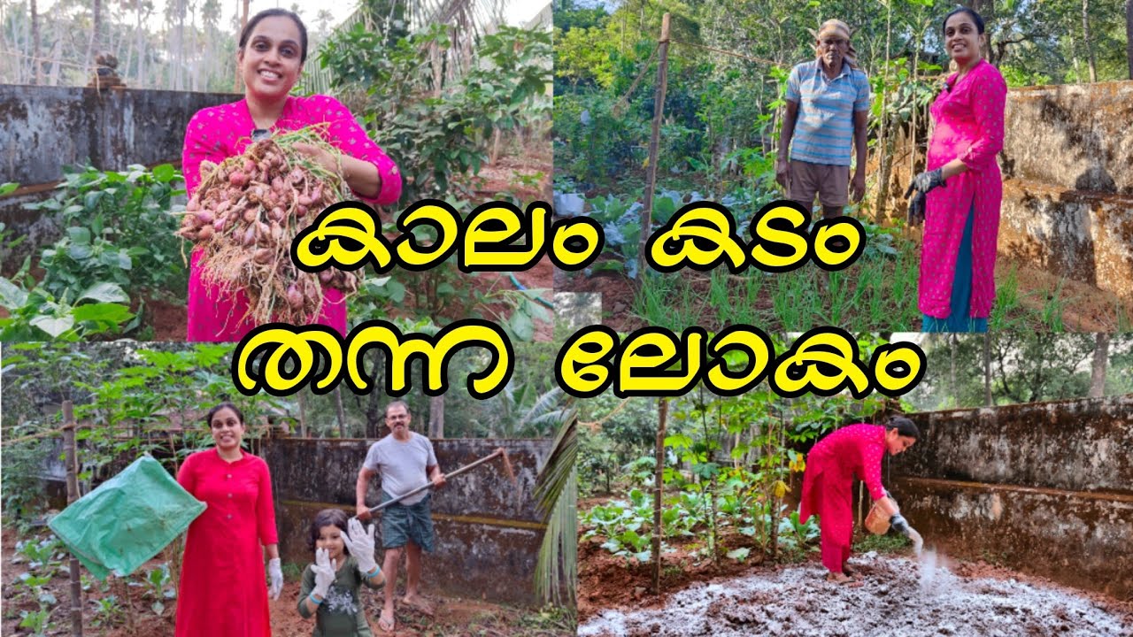 എൻ്റെ സ്വർഗ്ഗം 🥰🥰 | ഉള്ളി കൃഷി ഇത്ര Simple ആണോ? 😲 | A Unique Family