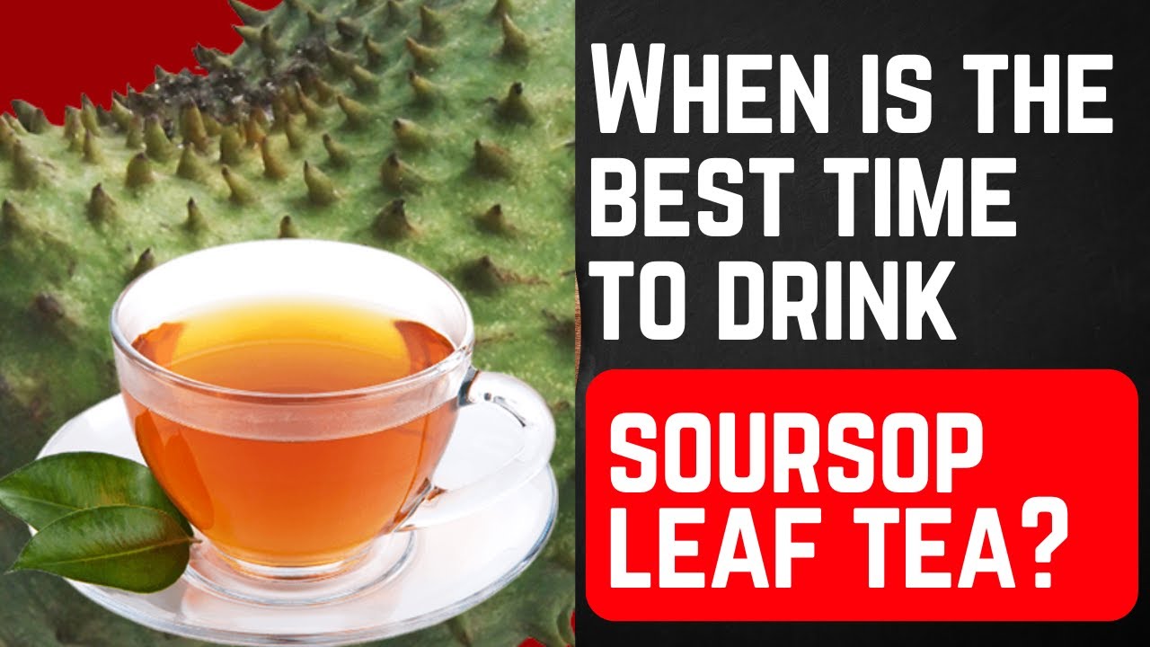 When to Drink Soursop Tea for Maximum Health Benefits