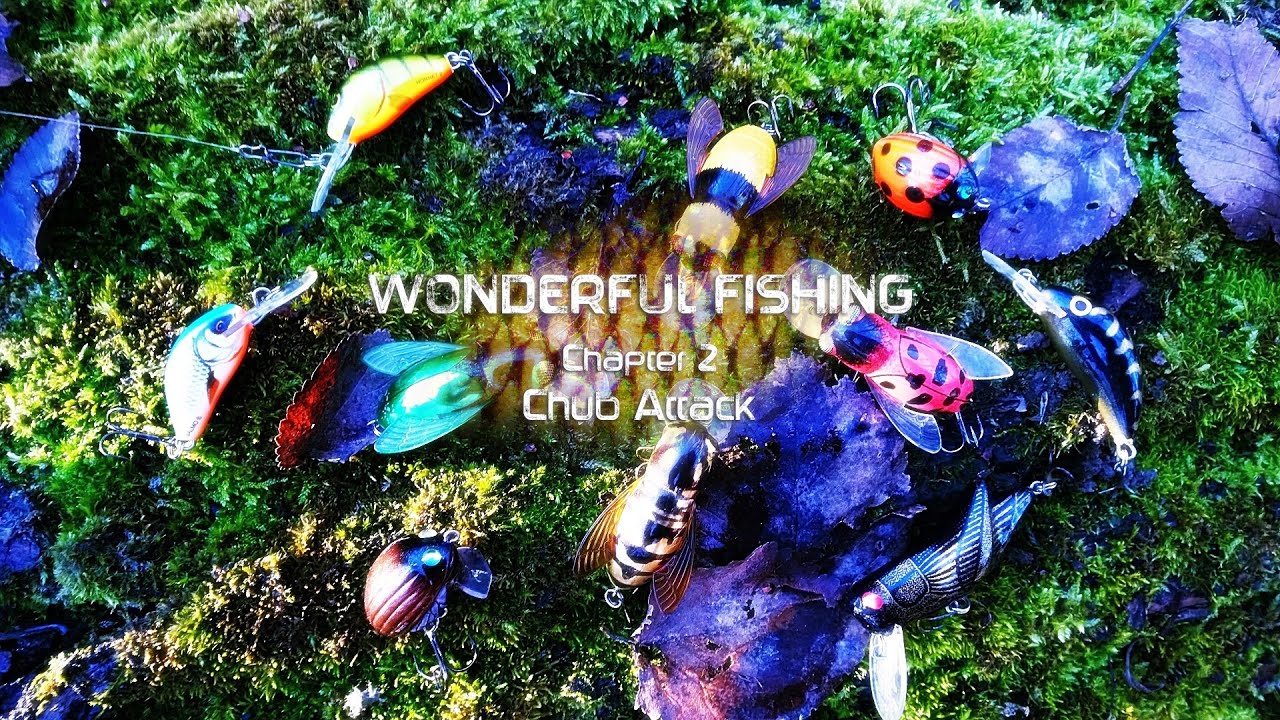 Wonderful Fishing - Chapter 2 