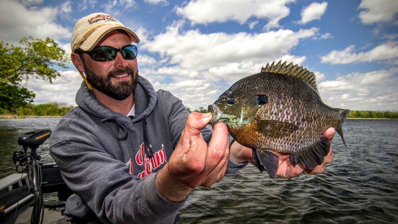 Panfish 101 — Angling Edge TV