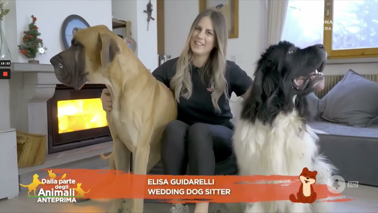 Wedding Dog Sitter - Portare il cane al matrimonio - Intervista a Elisa Guidarelli
