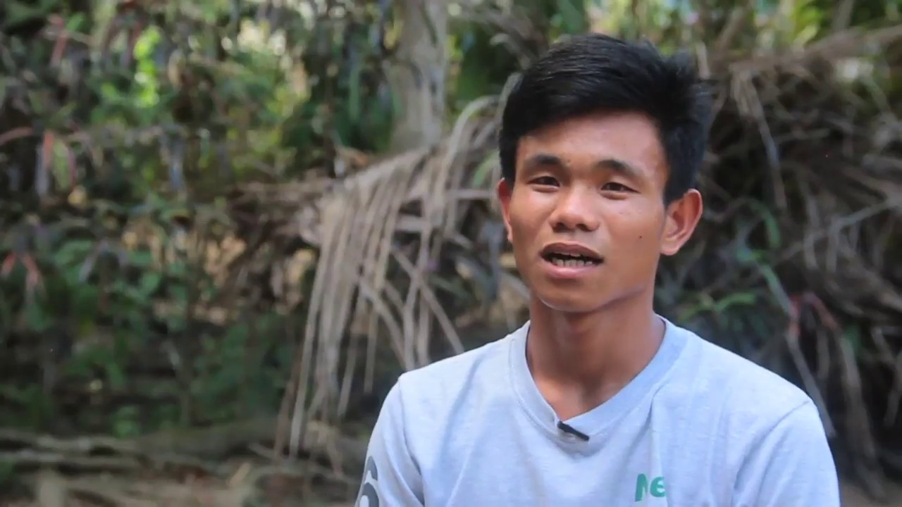 Pagpapatubo ng Tubó