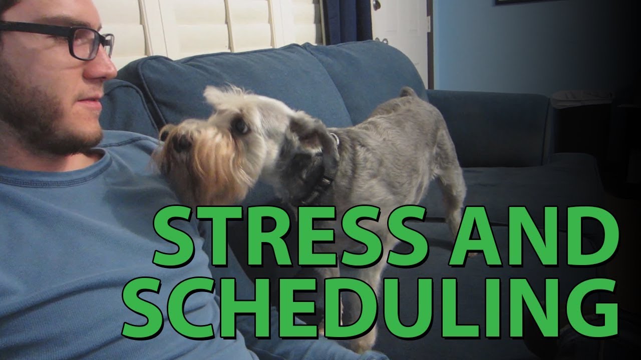 Stress & Scheduling