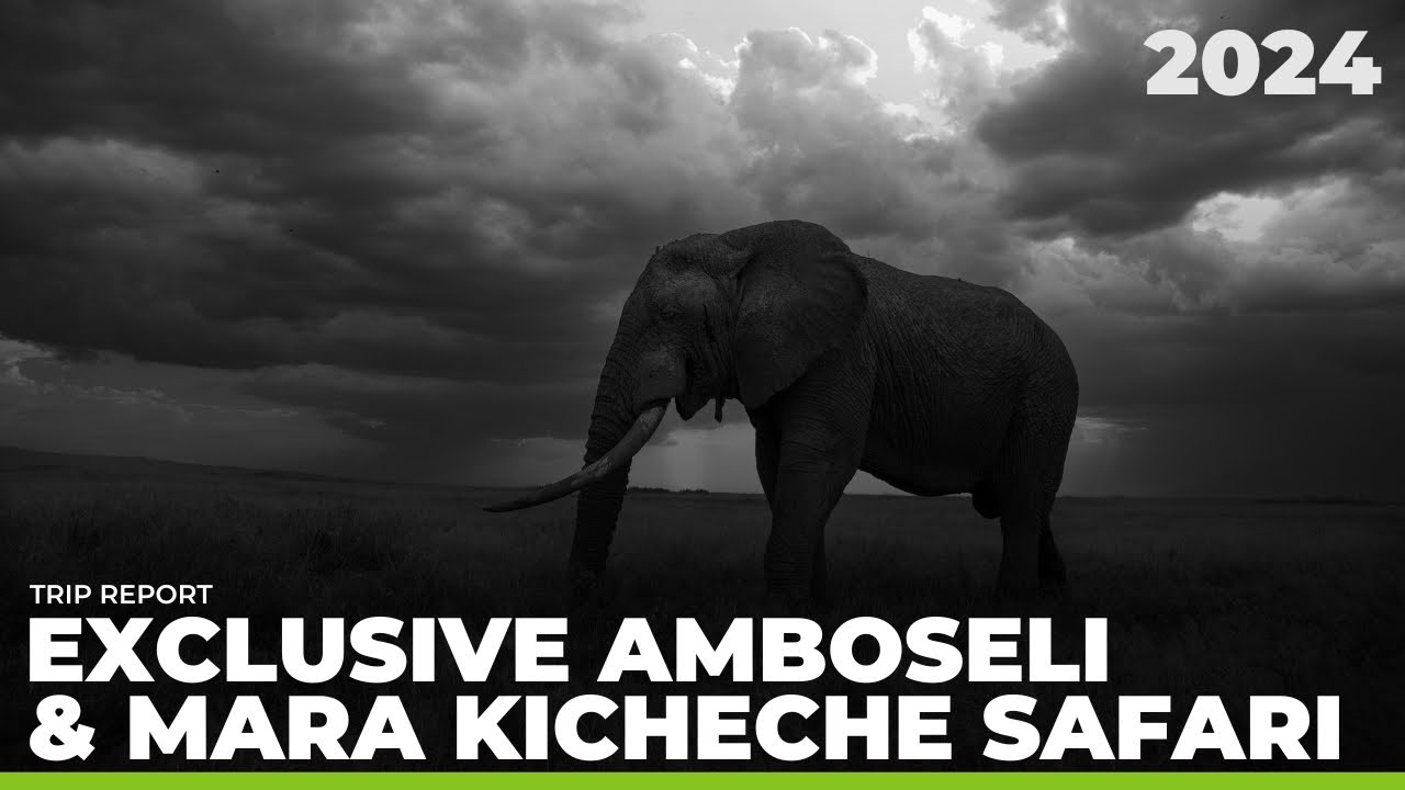 Exclusive Amboseli & Kicheche Safari | TRIP REPORT