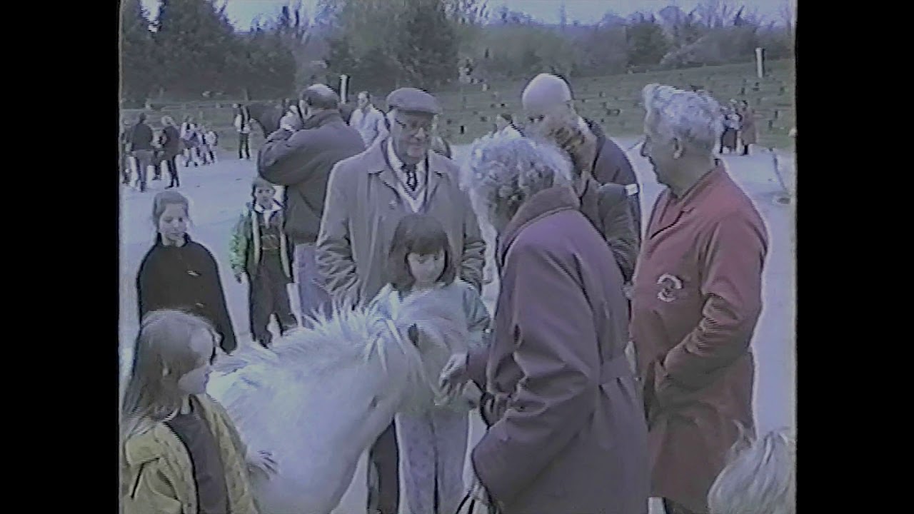 Visit to National Shire Horse Centre Yealmpton April 1993 Revision 2019