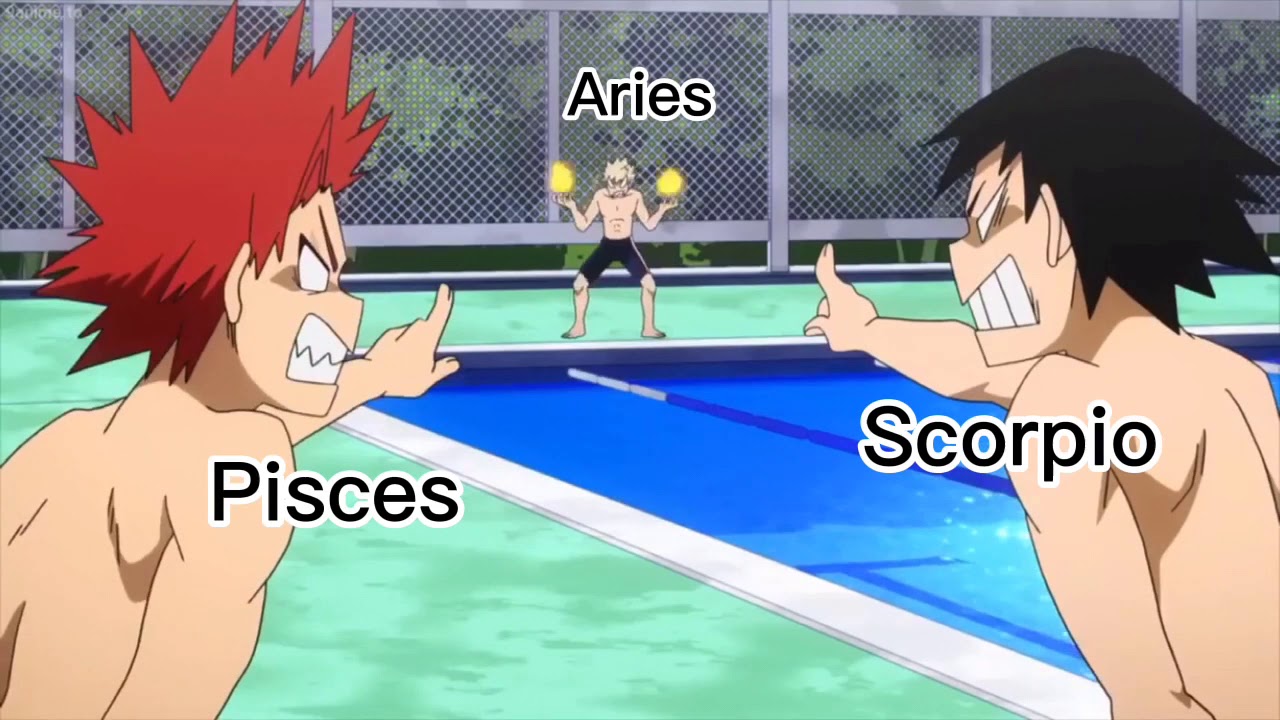 💥My Hero Academia as Zodiac Signs💥
