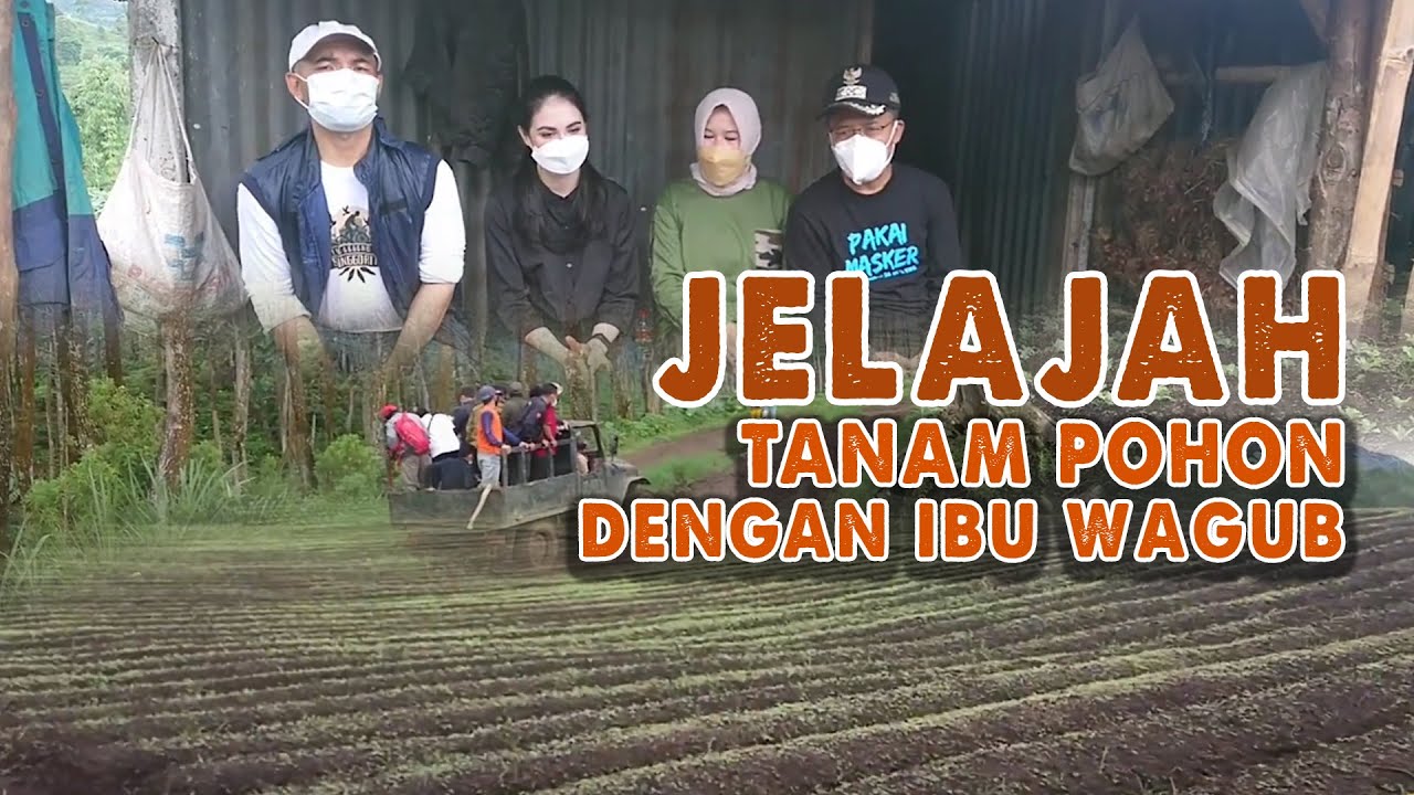 JELAJAH ALAM, TANAM POHON BERSAMA ARUMI BACHSIN DI LERENG GUNUNG ARJUNO