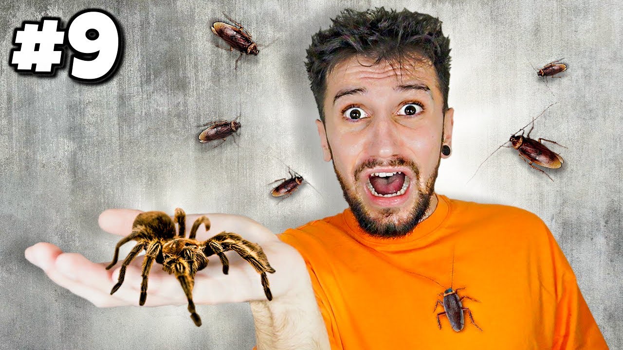 PŘEKONÁVÁM TY NEJVĚTŠÍ STRACHY... ajajaj