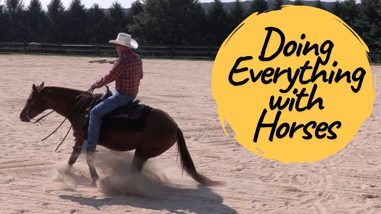Doing Everything with Horses (Episode 290) - Herm Gailey: A Lifetime with Horses