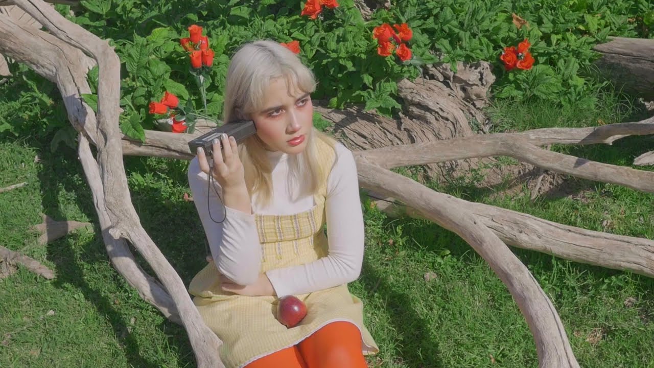 Señor Kino - Aurora Boreal