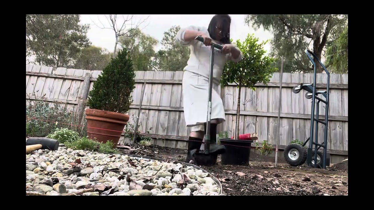 Planting lots of FREE Sweet Alyssum & extending the shade area | et de garden