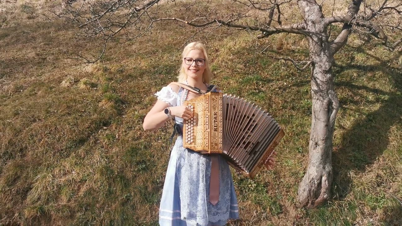 Darja Gajšek - Kjer lastovke gnezdijo