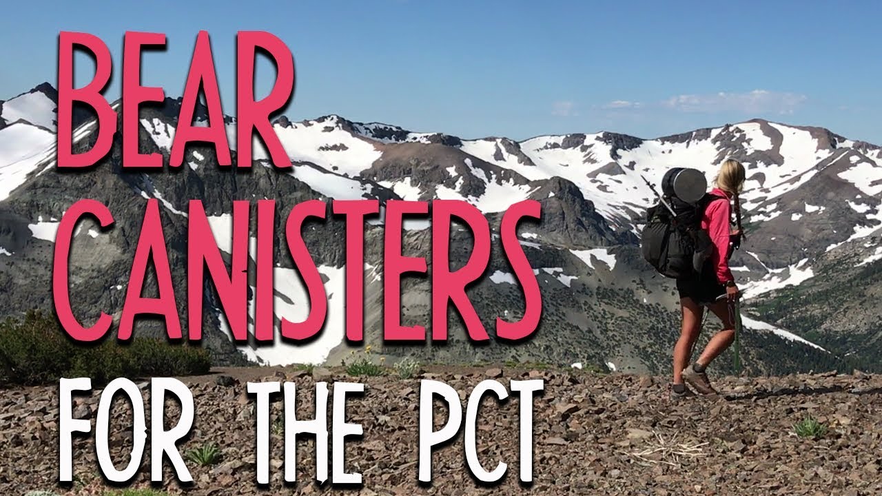 Bear Canisters For The PCT