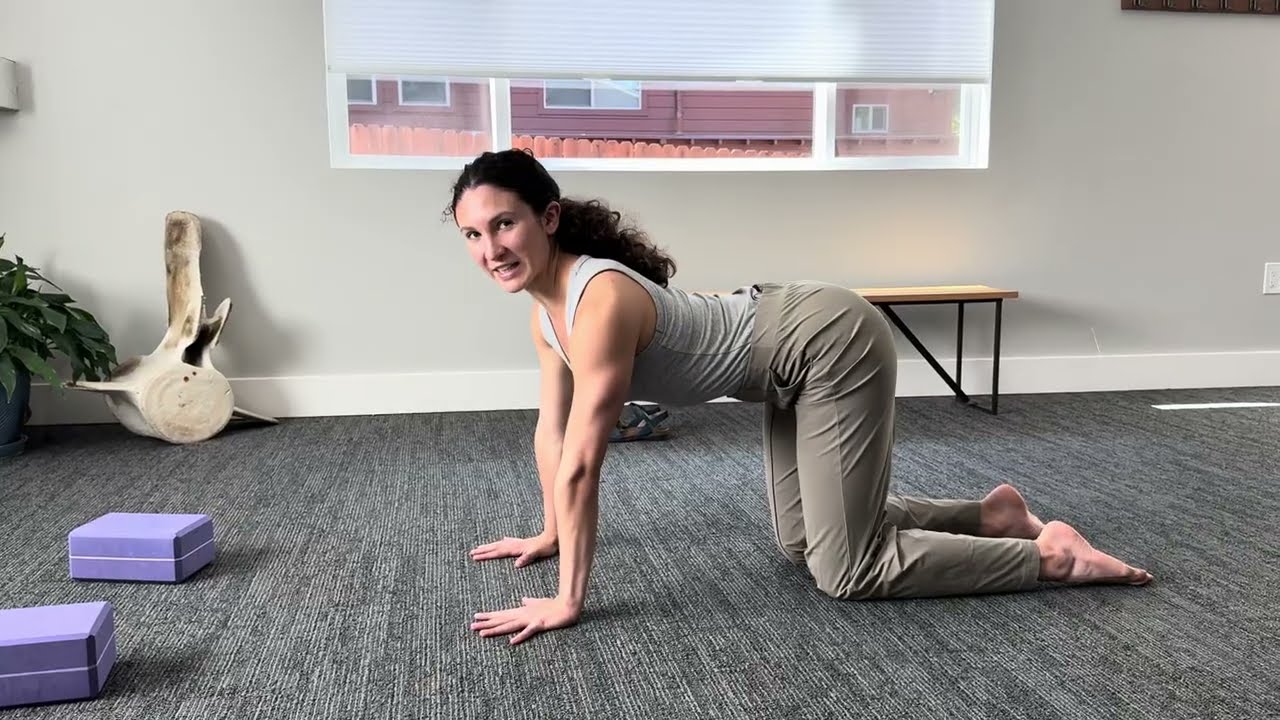 LOW BACK, Level A: Hip Strength/Back Stabilization