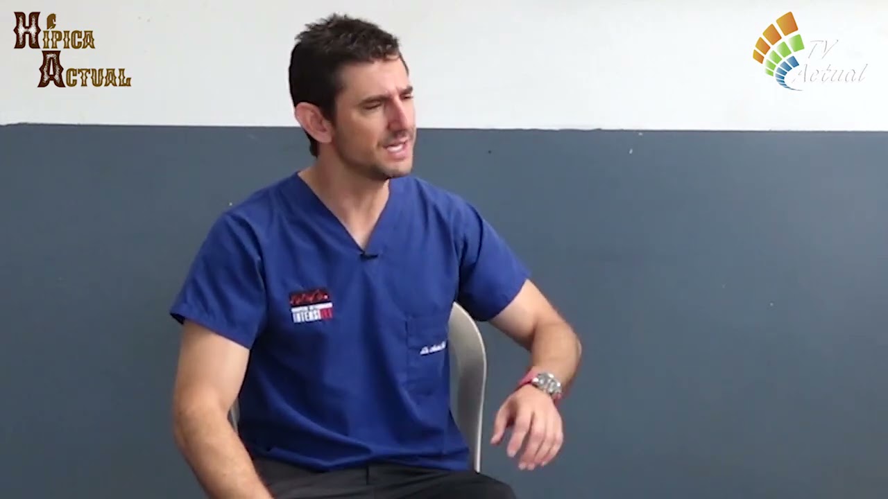 Cuidados del potro recién nacido