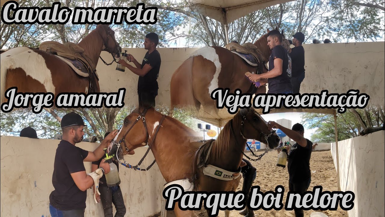 MARRETA E JORGE AMARAL, VEJA CÓMO FOI APRESENTAÇÃO NO PARQUE BOI NELORE 2025