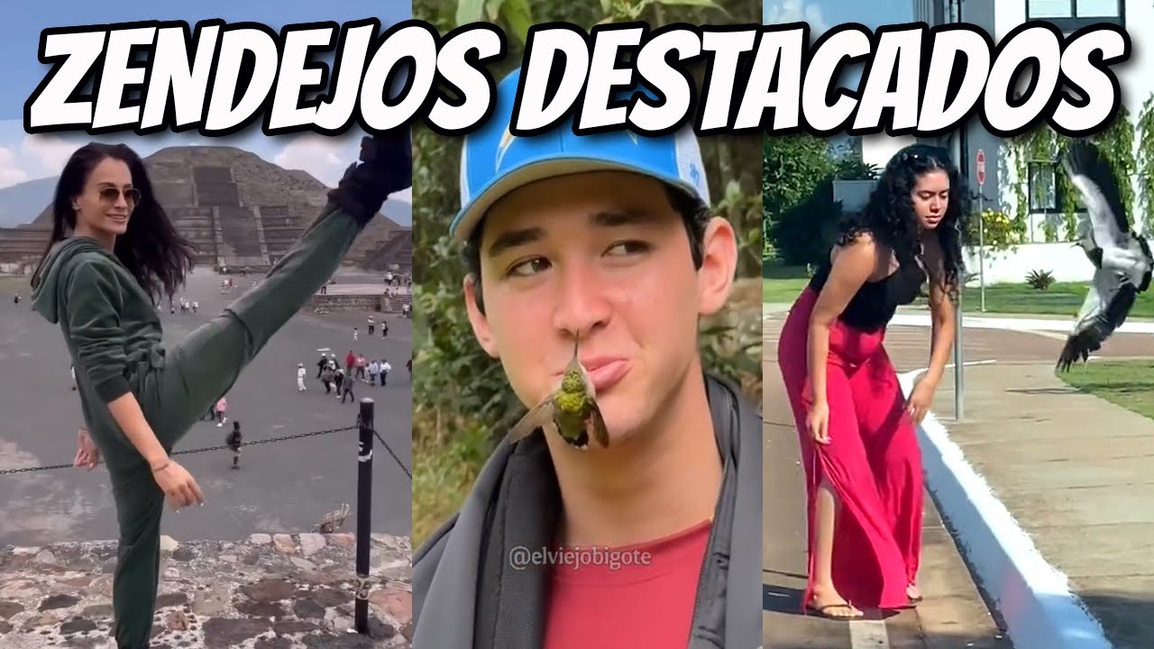Zendejos Destacados