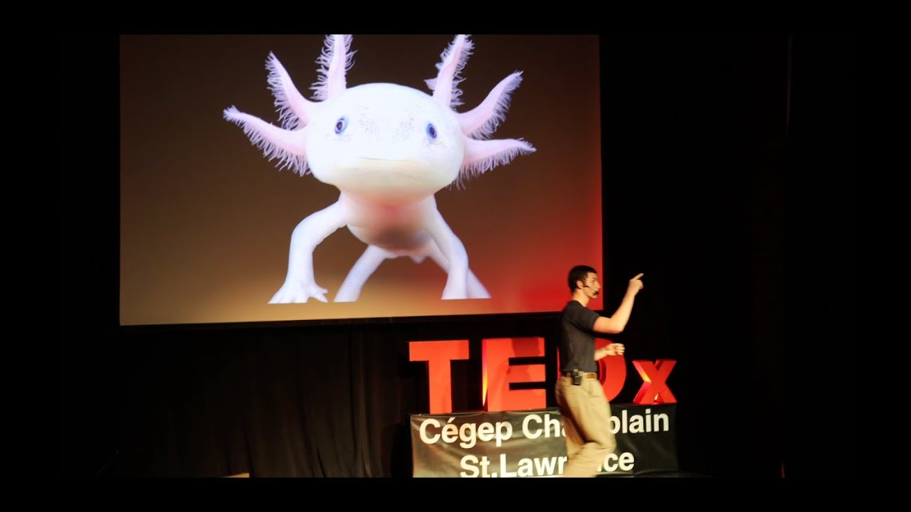 Embracing the Genomic Revolution | Dominic Gaumont | TEDxC&eacute;gep Champlain St Lawrence