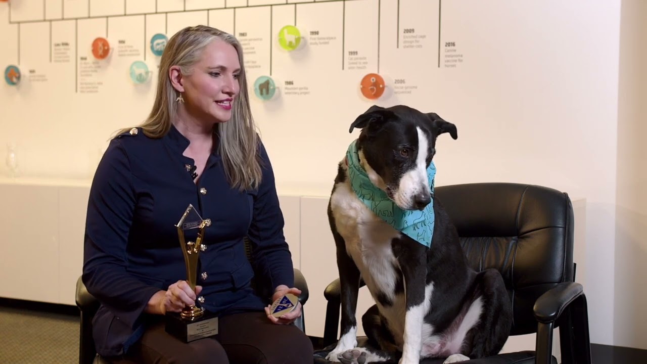 Morris Animal Foundation is a Stevie&reg; Award Winner in the 2021 Stevie&reg; Awards for Women in Business