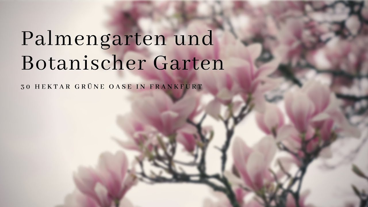 Palmengarten und Botanischer Garten  - 30 Hektar Grüne Oase in Frankfurt