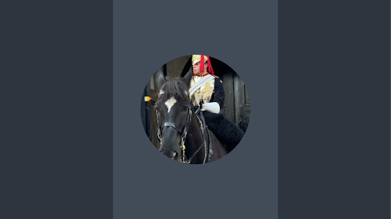 Guards Horses and soldiers daily is live