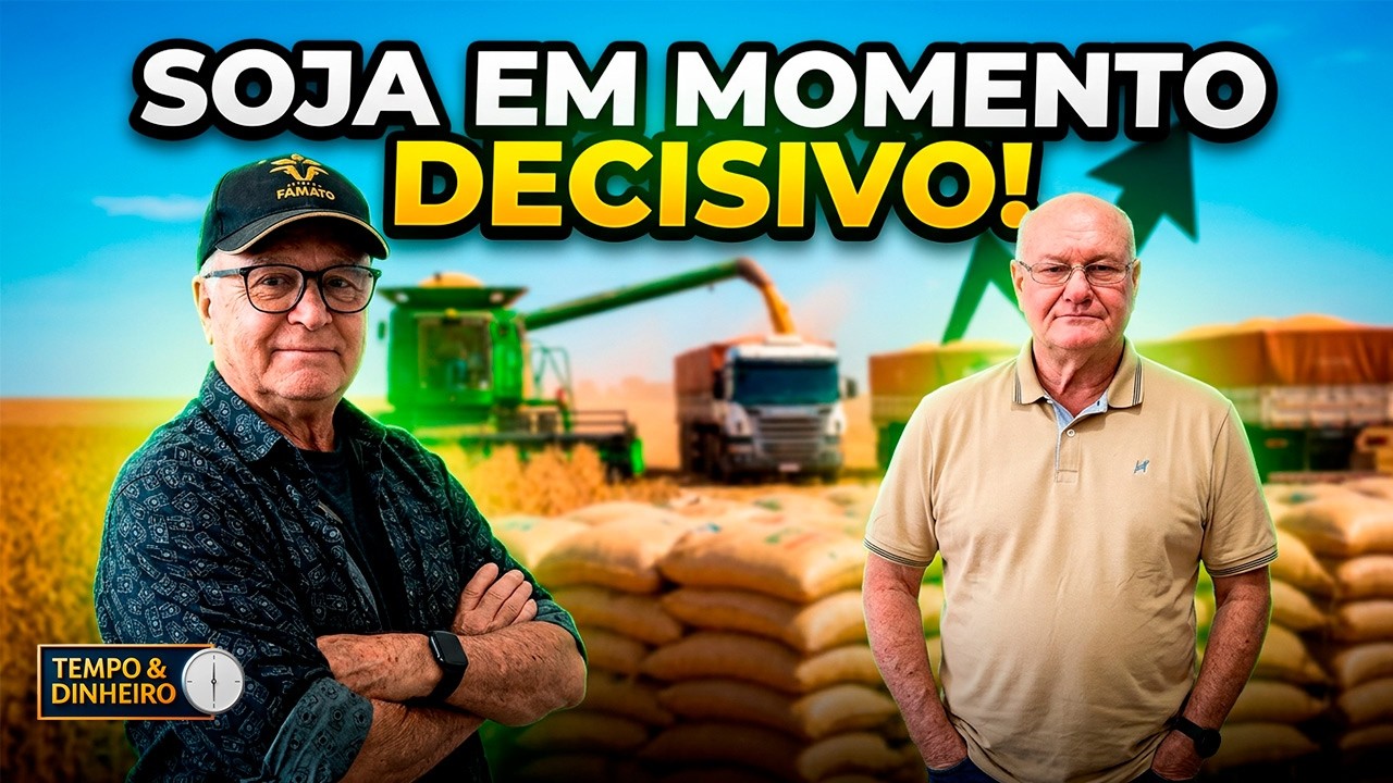 Soja travada no Brasil: o que o produtor deve fazer agora?