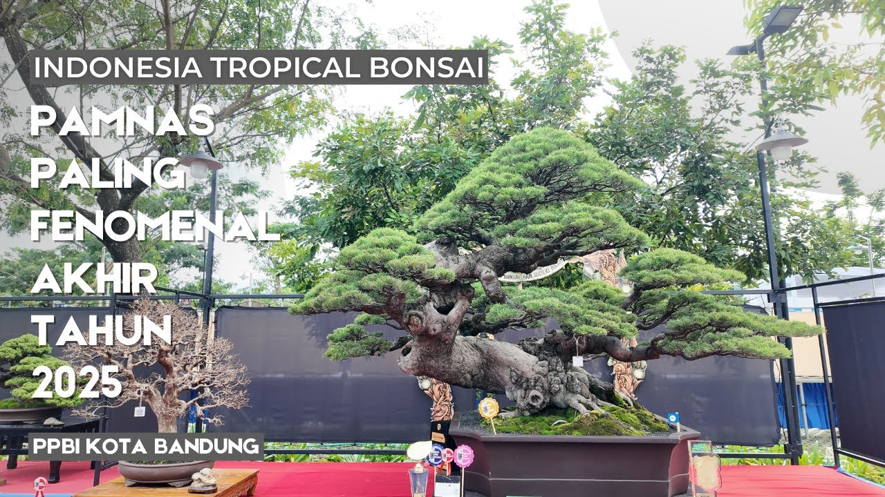 Pameran Nasional Bonsai dan Suiseki 2025 PPBI Kota Bandung