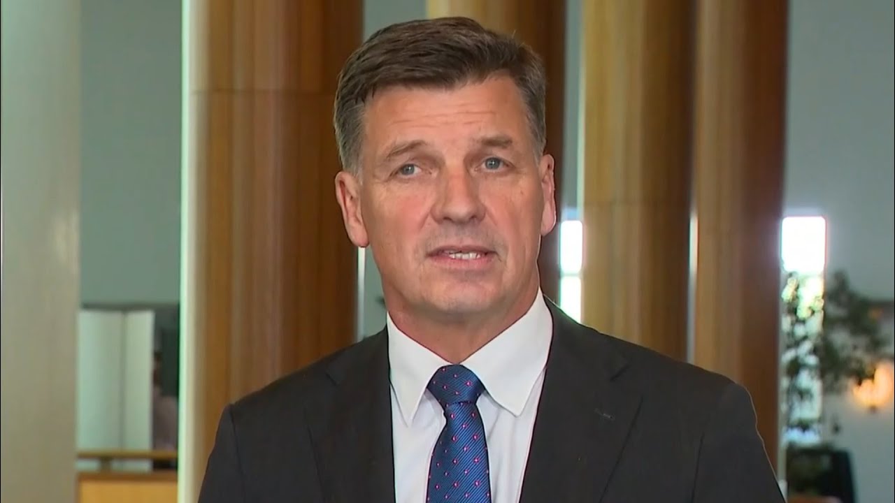 ‘Man of his word’: Angus Taylor reacts to David Littleproud's resignation as Nationals leader