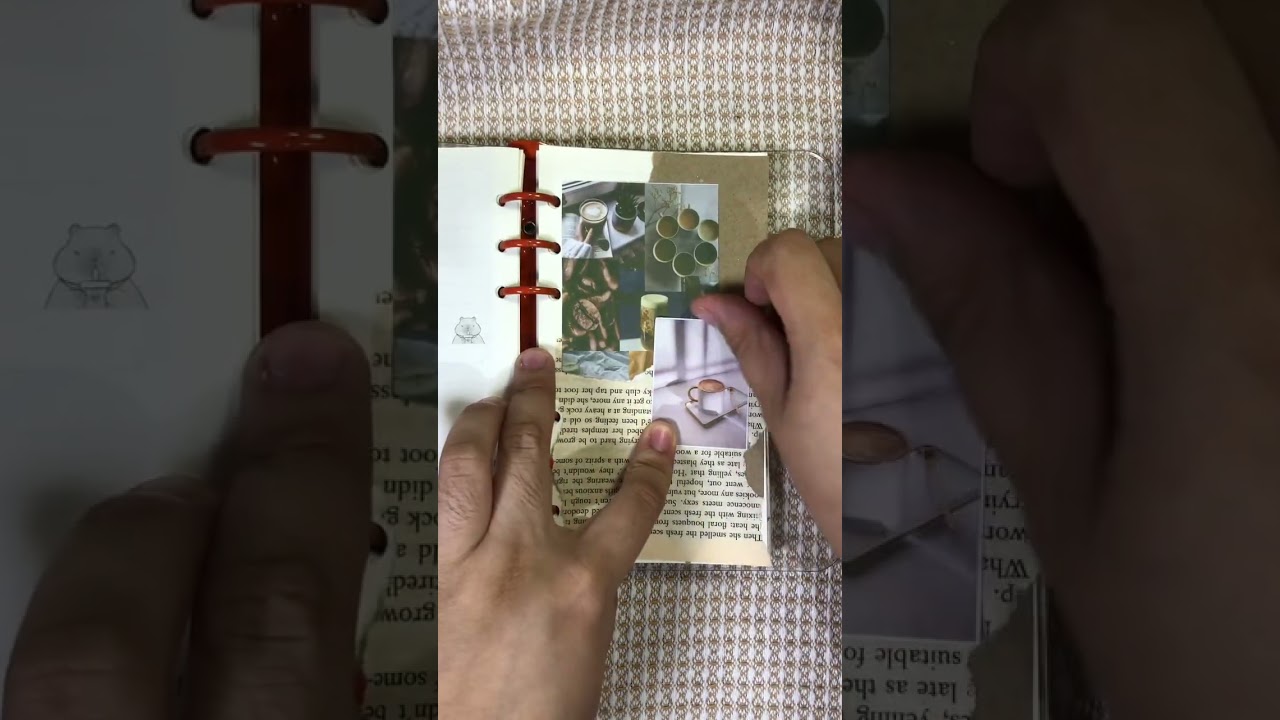ASMR Aesthetic Pocket Notebook ✨ Journaling Inspiration 