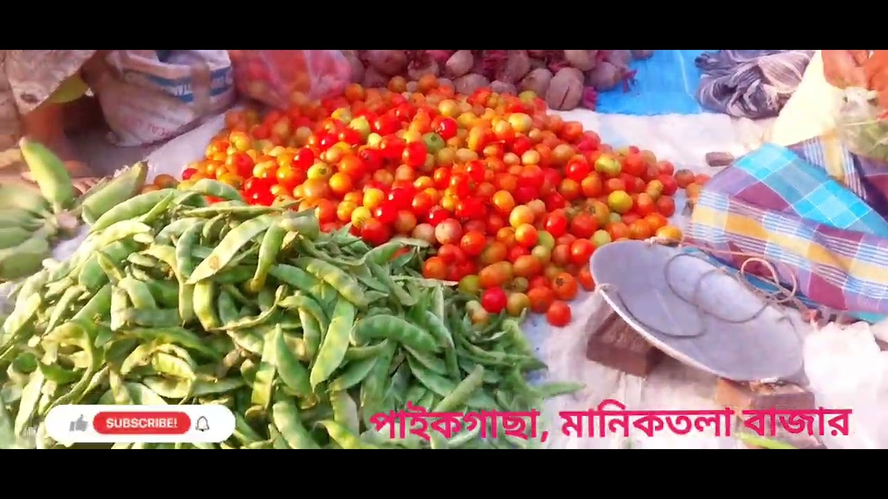 খুলনা পাইকগাছা মানিকতলা বাজার 