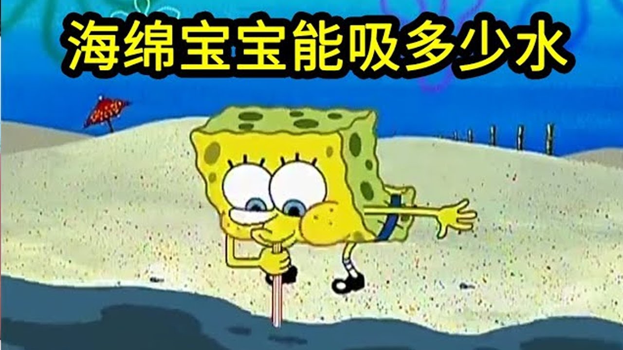 我算出了海绵宝宝到底能吸多少水？