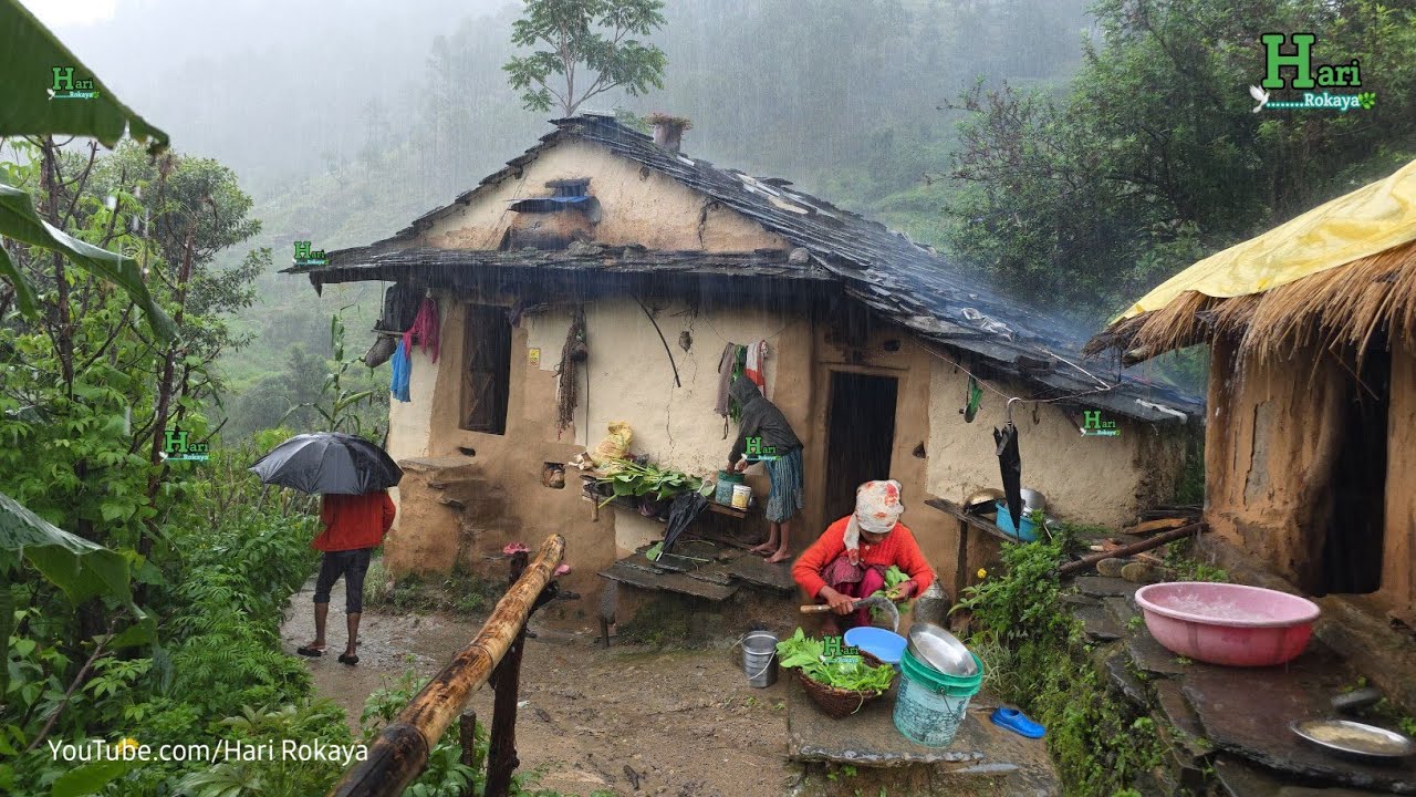 Nepali Mountain Village Lifestyle in Heavy Rain Times | Organic Food Cooking in Countryside Village 