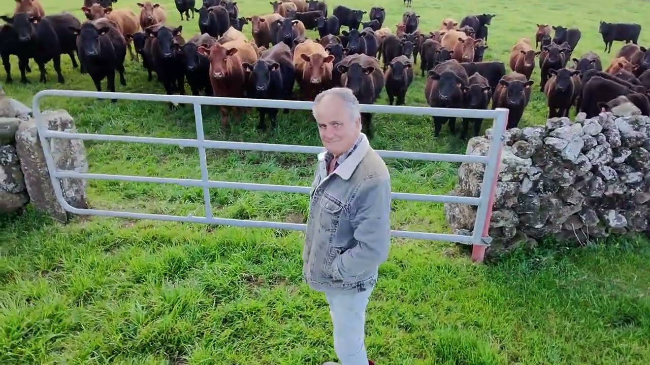 Passei pelas vossas Vacas