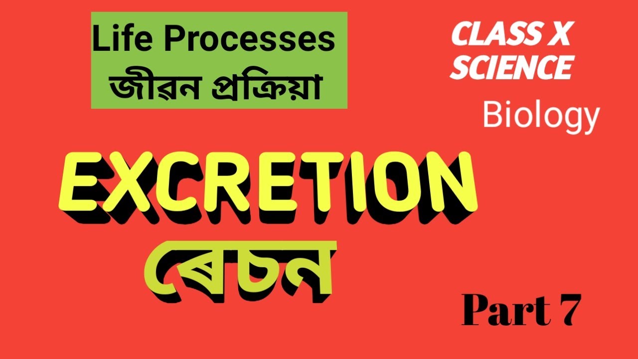 Life Processes-Part7#EXCRETION#class10 Science