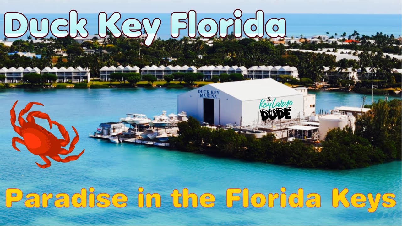 🌴 Discover Duck Key in the Florida Keys 🏝️
