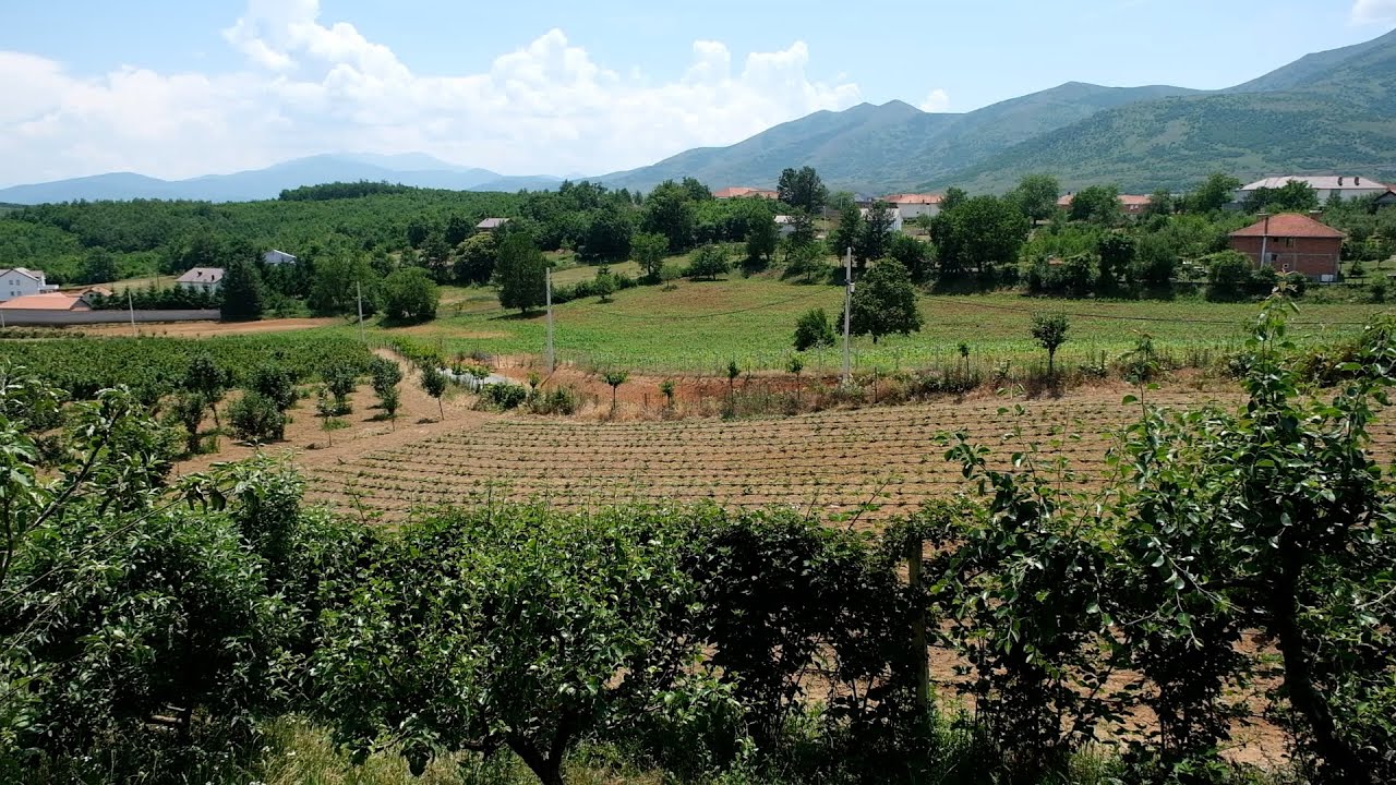 Halim Rrustemi nga Babaj I Bokës, kultivues i pemëve të imëta