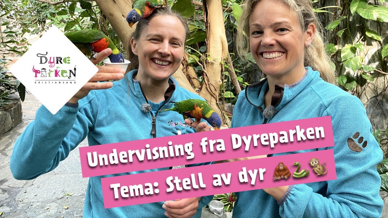 Undervisning fra Dyreparken: Stell av dyr 🦧🐍🐒
