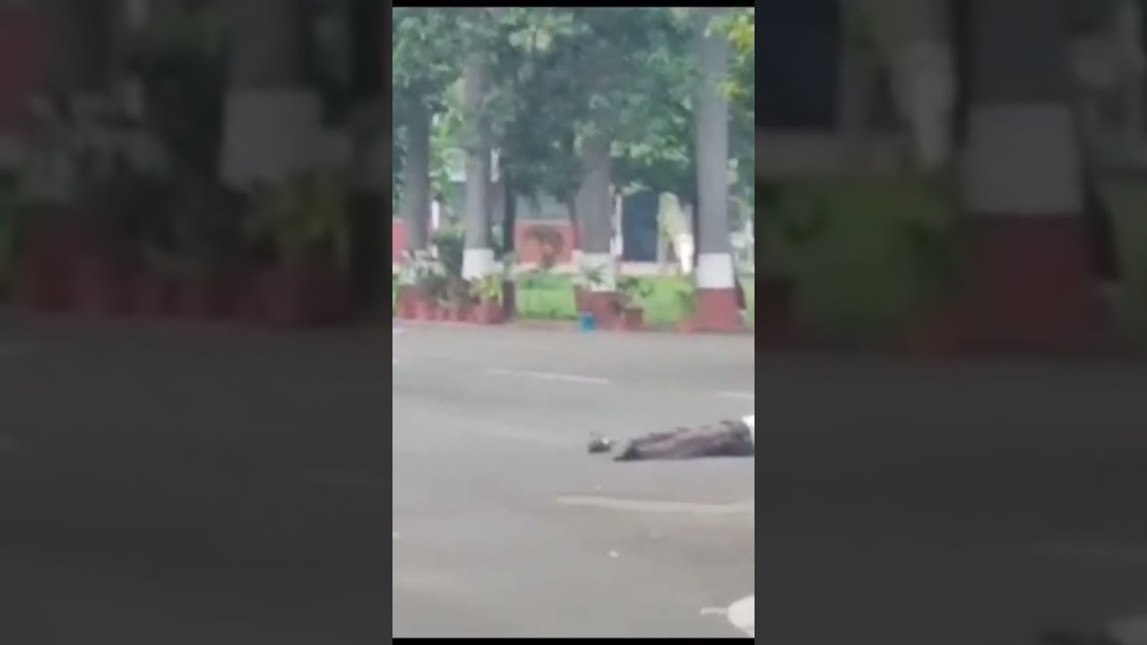 indore High court me chali goliyan 😢😢😨😨#todaynews #indorenews #highcourt