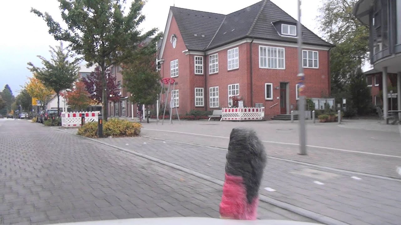 Hammoor & Bargteheide 13.10.2013
