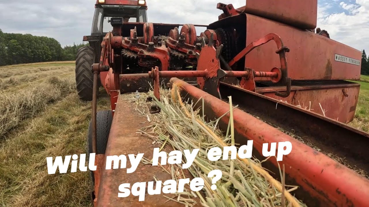 Seized baler...First hay in 10 years!! how well will it bale