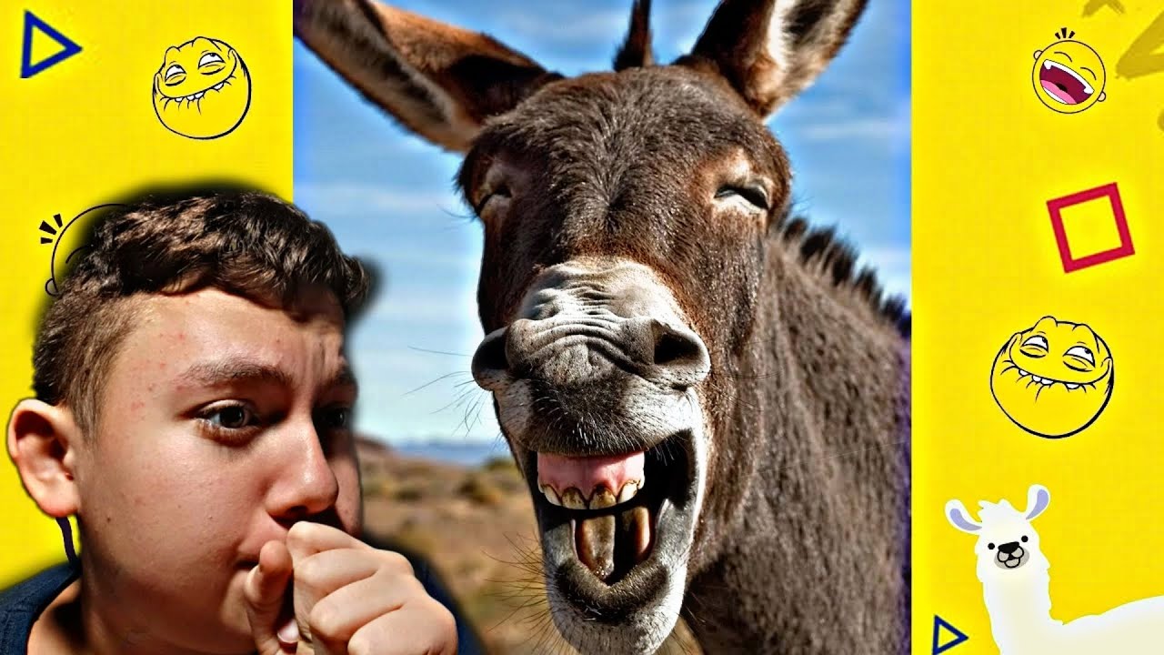Se ridi hai perso! Prova a non ridere challenge