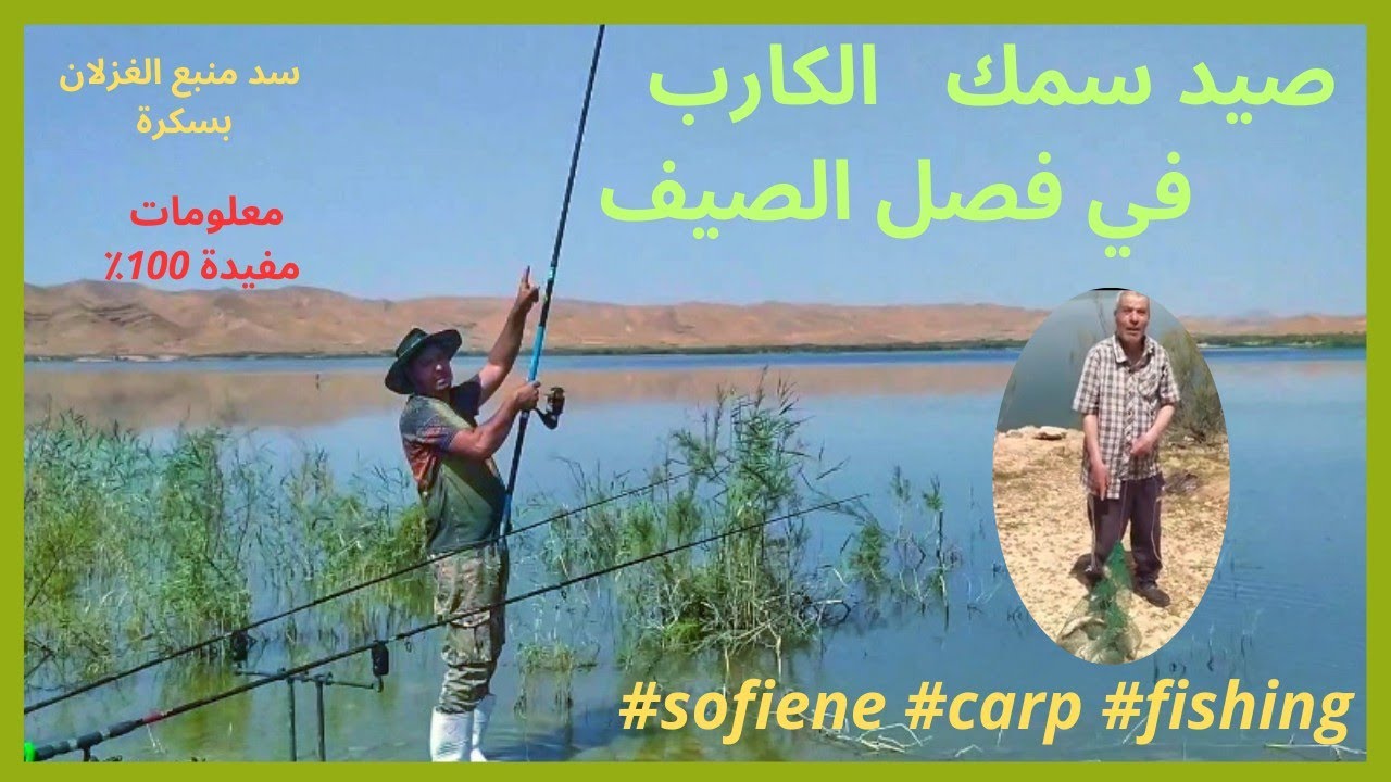 صيد سمك الكارب في  الصيف بسد منبع الغزلان بسكرة #sofiene #carpfishing 