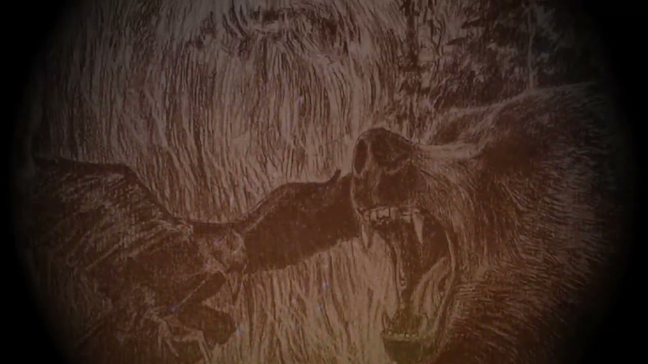 Aetheres - Kult Przodk&oacute;w  (new album 2026 teaser #2)