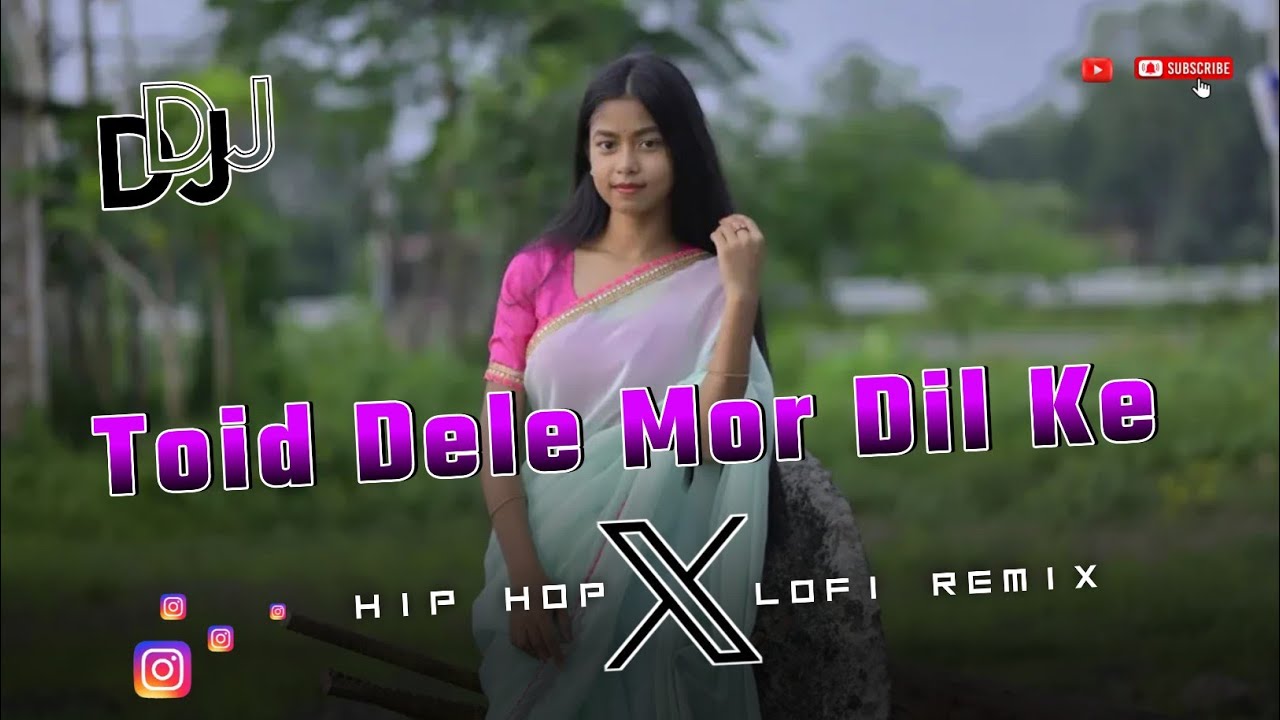 Toid Dele Mor Dil Ke - Nagpuri Lofi Song 2025 || Heart Touching Remix Song || Rkl Mix Official