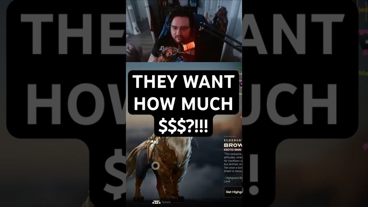 Highguard devs are out of their minds bro