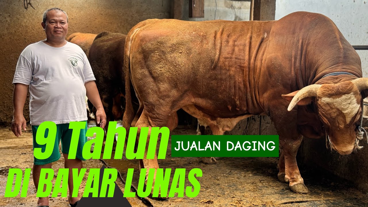 PULUHAN TAHUN IKUT BOSS AKHIRNYA SUKSES BUKA SENDIRI‼️🔥🔥🔥