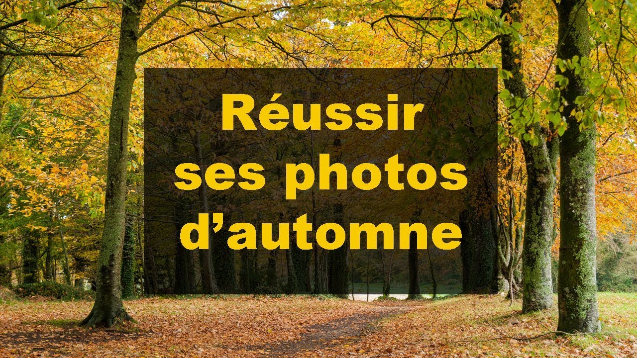 COMMENT RÉUSSIR SES PHOTOS D'AUTOMNE ? Apprendre et progresser  en photo