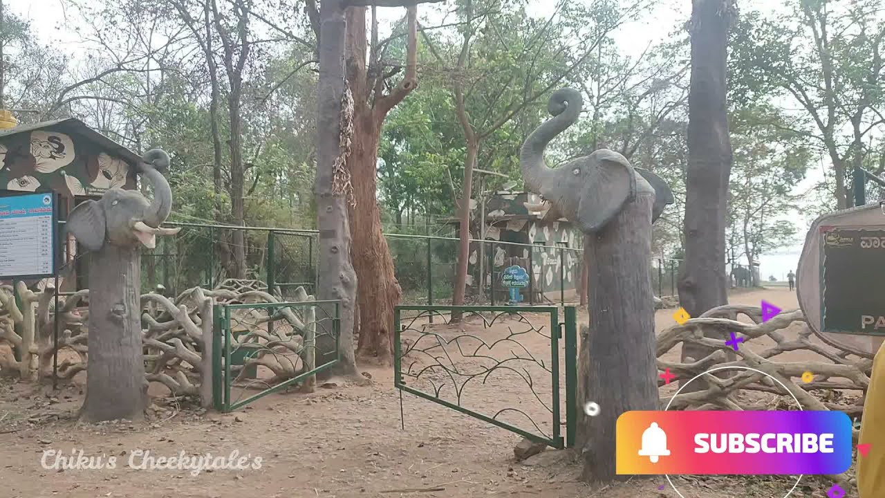 Sakrebailu Elephant Camp ,, An unexpected stop , Early in the morning